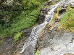 Un peu de verdure et de concrétions à 1305 m.