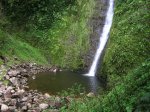 Un petit bassin où il fait bon se baigner