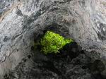 Une des entrées de la grotte de plusieurs centaines de mètres.