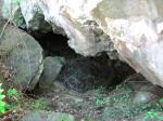 La suivante, envahie de petites lianes.