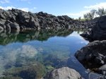 Bassin Sardines