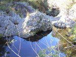 Le Bassin Ti Feuilles