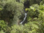 Un affluent du Bras des Lianes qui vient grossir le torrent
