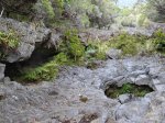 Plutôt sur la Ravine Haüy avant d'arriver à la Ravine Saucisson