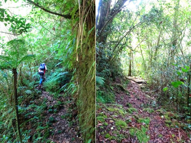 La fin s'effectue sur un sentier régulièrement entretenu
