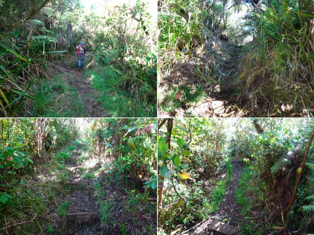 Pas de difficulté sur le plateau hormis peut-être la boue en période pluvieuse