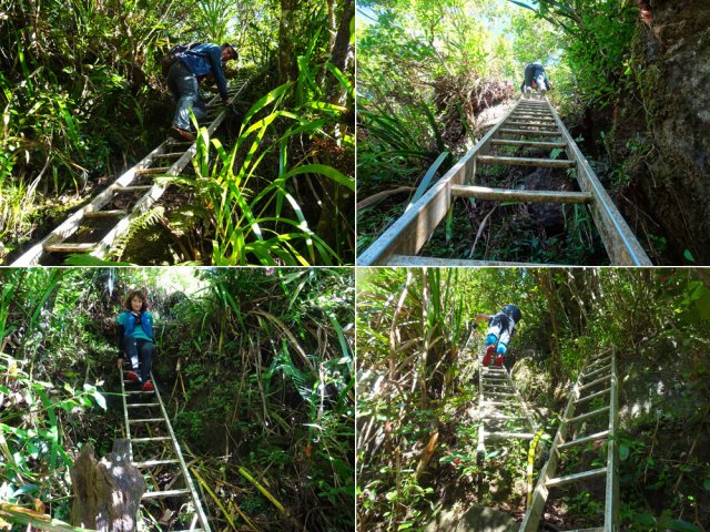 Ne pas commencer à compter les barreaux !