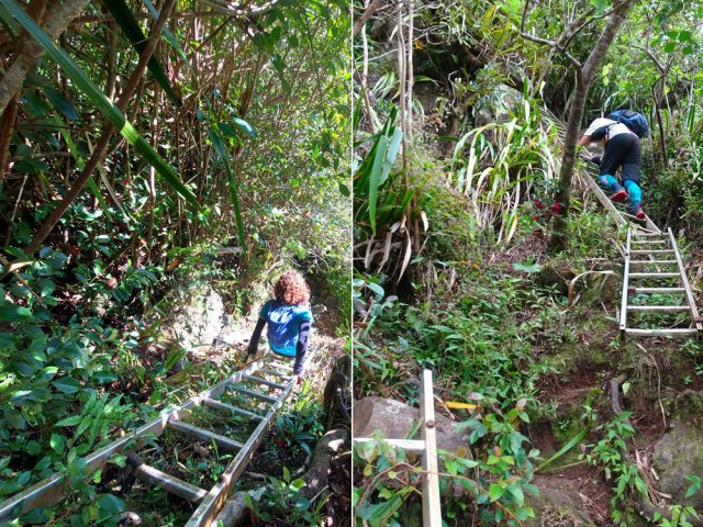 Préférer se mettre face aux barreaux pour plus de sécurité