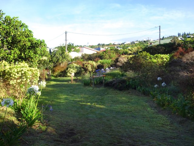 Le début est entretenu et fleuri