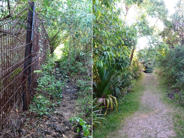Quelques tronçons le long du grillage de l'hôtel