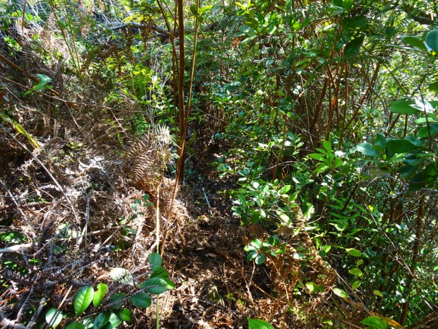 L'étroit sentier qui rejoint le bassin est difficile à repérer