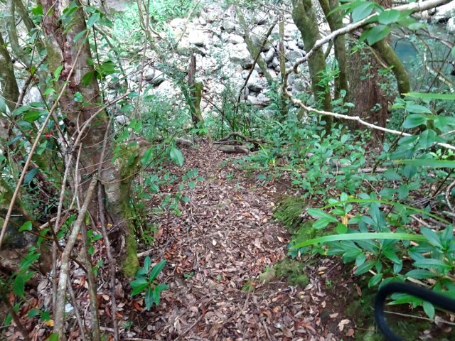 Le sentier abrupt menant au bassin