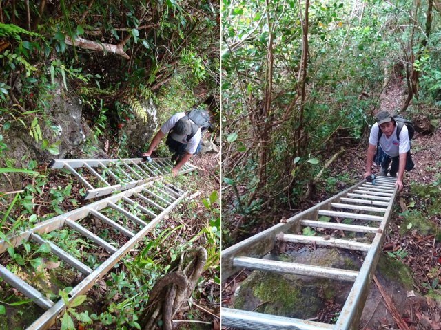 26 échelles verticales mais bien sécurisées pour franchir le rempart