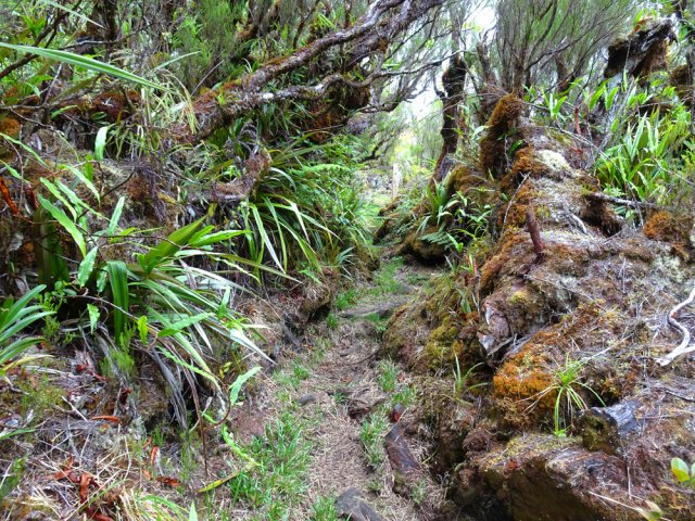 Les branles moussus annoncent la piste n°3