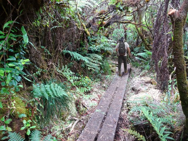 Les derniers caillebotis annoncent la fin de la petite boucle piste/sentier