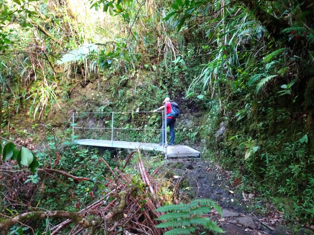 Plusieurs passerelles métalliques pour passer les rigoles créées par les mini-cascades