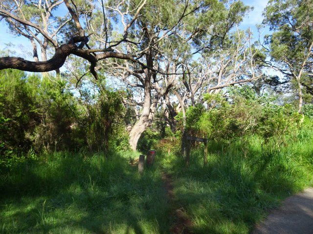 Il faut traverser la route pour trouver la suite du sentier