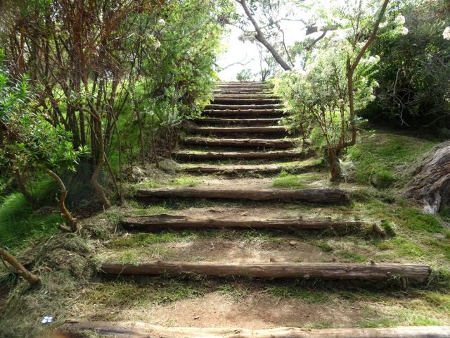 Long escalier pour poursuivre la balade
