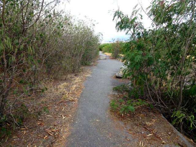 Une zone de route et de parkings abandonnés aux épineux