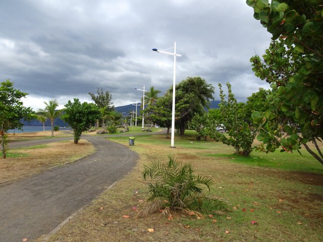 Le circuit est toujours aussi plat entre les arbres jusqu'au parking