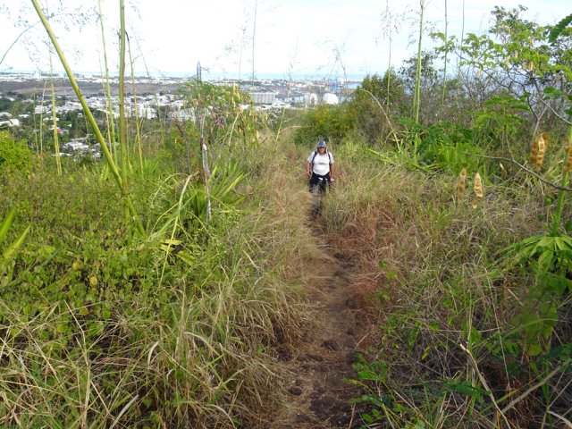 Le début de la montée de la crête s'effectue entre herbes et chocas