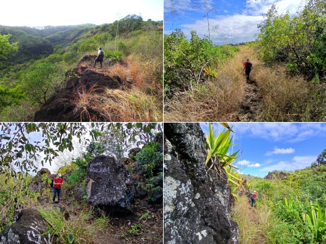 Quelques portions de la montée le long de la Crête des Lataniers