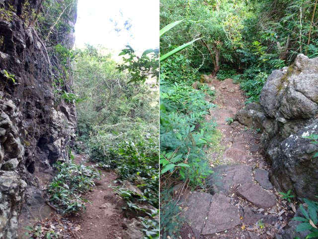 On retrouve beaucoup de grandes roches en longeant la ravine