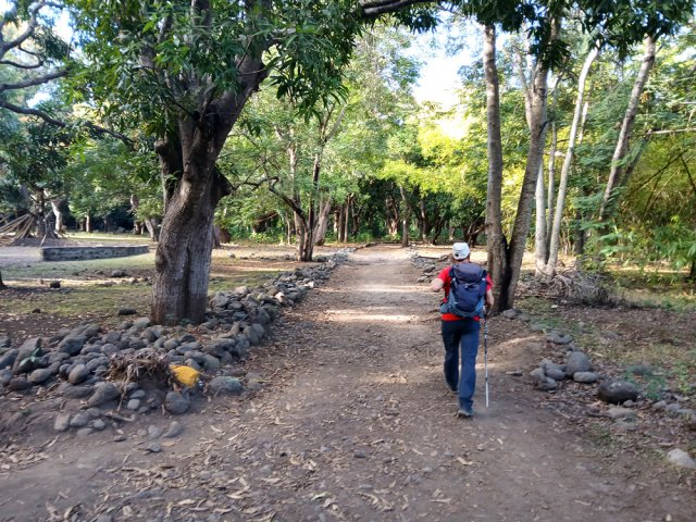 Prendre à droite dans le parc sous les manguiers