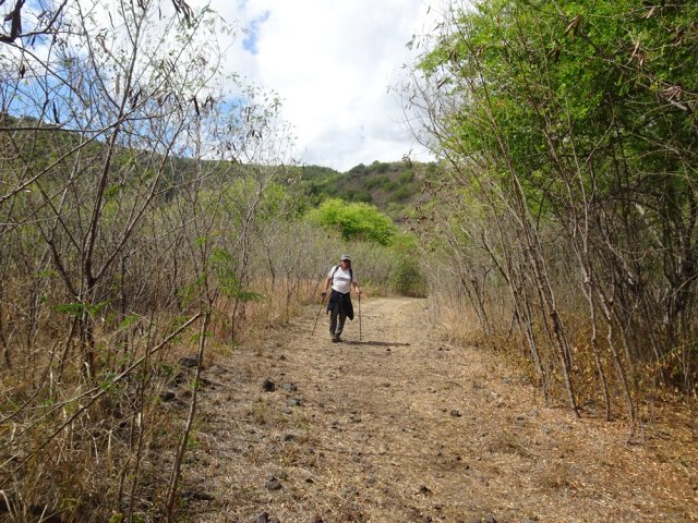 Balade agréable après avoir franchi la Petite Ravine des Lataniers