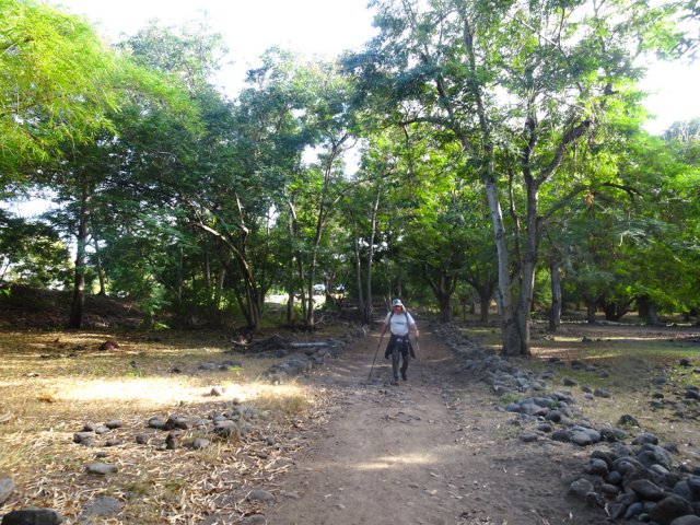 Une grande partie du parc est ombragée