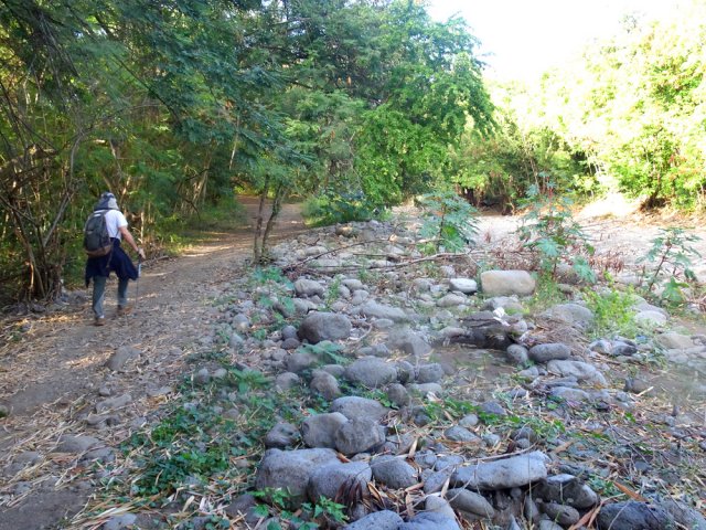 Longer la Grande Ravine des Lataniers, à sec