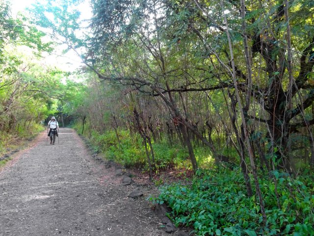Poursuivre par une large piste en pente très faible
