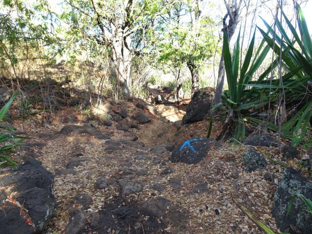 Certaines portions sont assez rocheuses