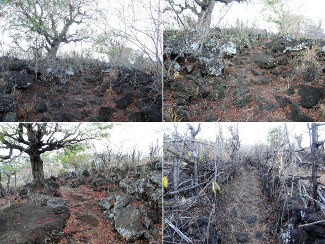 Le Chemin de Grand Étang traverse une zone désertique très rocheuse
