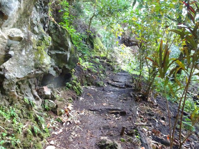 Remontée vers le manguier pour la poursuite de la boucle