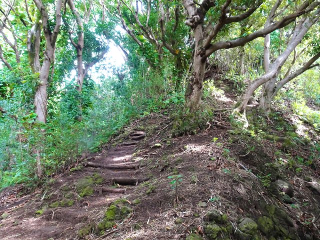 Une idée de la pente