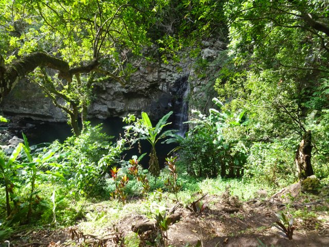 Durant la descente, on aperçoit le bassin l'Orage derrière les bananiers