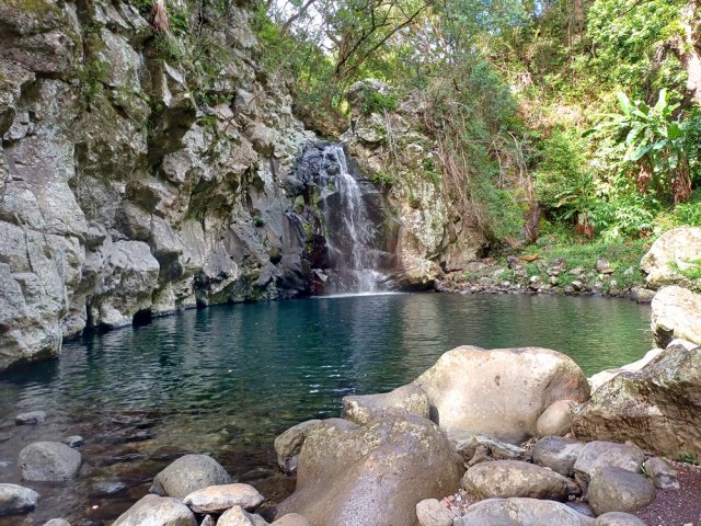 Bassin l'Orage, agréable petit coin sauvage entouré de bananiers
