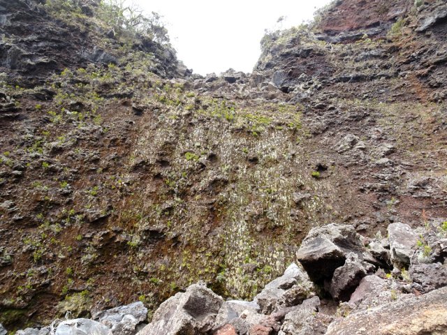 L'escalade de la cascade s'avère dangereuse car instable