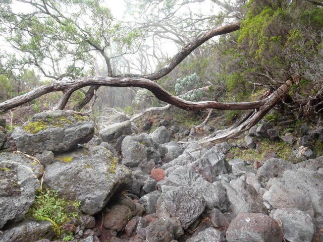 Fin de la descente de la ravine, juste avant un cairn au milieu du lit