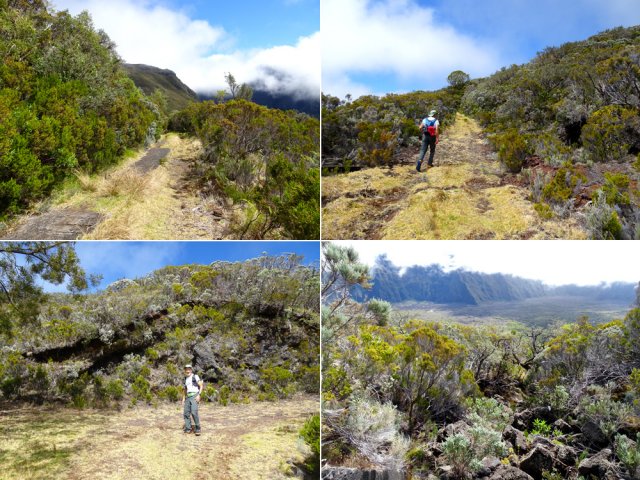 Piste large et facile avec vues sur le Fond de la Rivière de l'Est