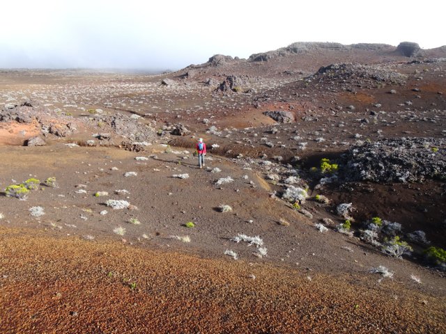 Marcher plein nord pour entamer un tour du Piton Haüy