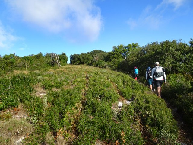 Montée douce vers les Planelles (399 m) pour s'échauffer