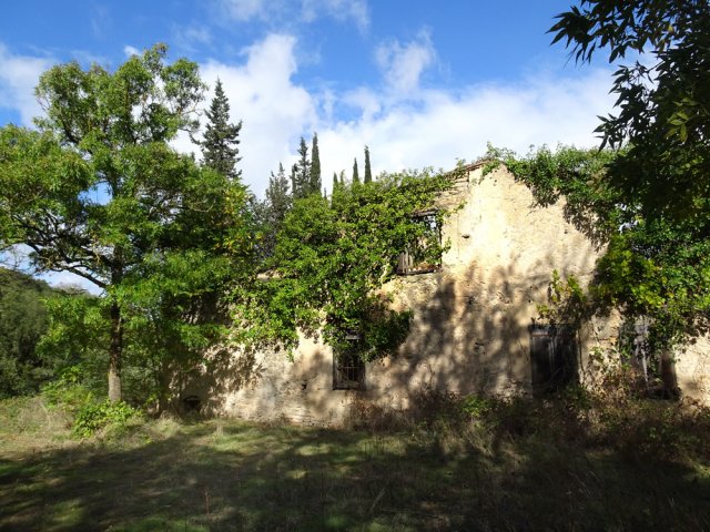 La ruine des Paillasses, propriété privée. Il fallait aimer la solitude pour y vivre
