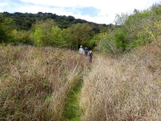 100 m de sentier envahi pour quitter les Paillasses