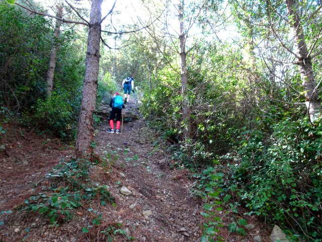 Très forte pente pour atteindre les falaises du Miramont