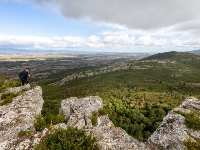 En se penchant prudemment, on parvient à distinguer où se cachent les chèvres à longues cornes