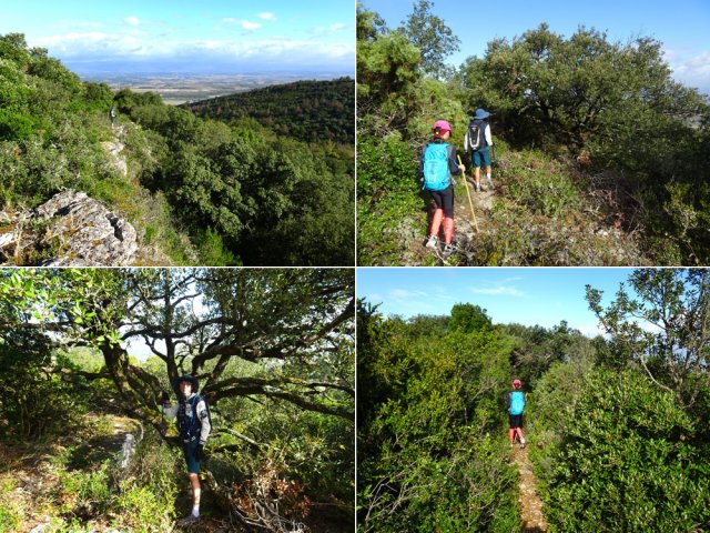 Agréable sentier entre garrigues et chênes verts