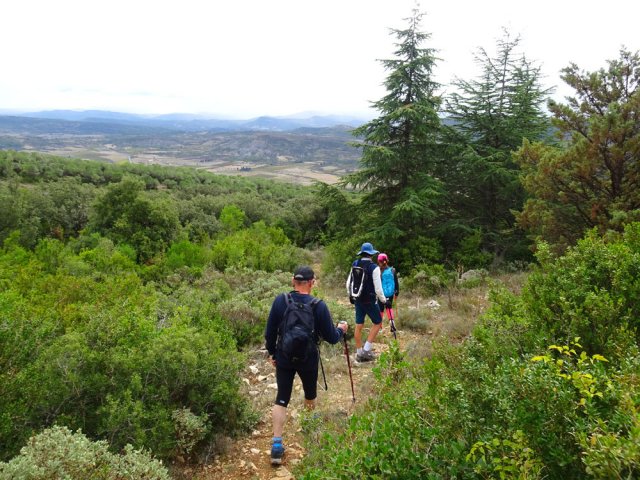 Quitter la piste pour préférer un sentier dans les mélèzes