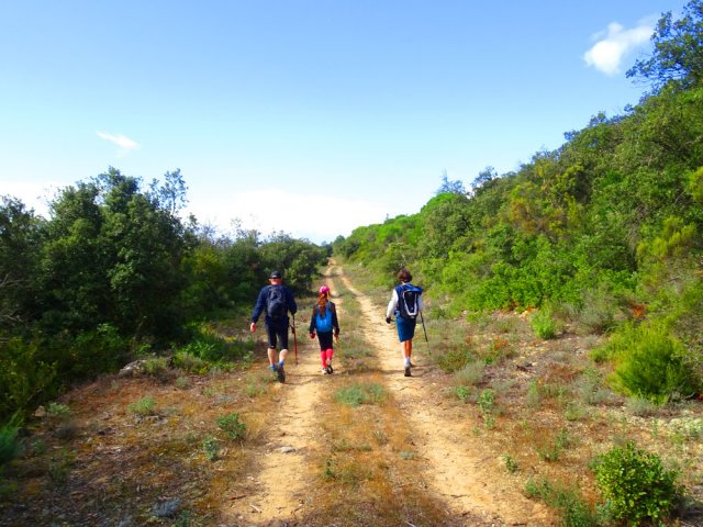 La piste menant au Champ de Sable, fin de la boucle